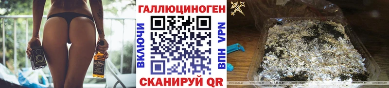 Псилоцибиновые грибы Psilocybine cubensis  omg   Каргополь 