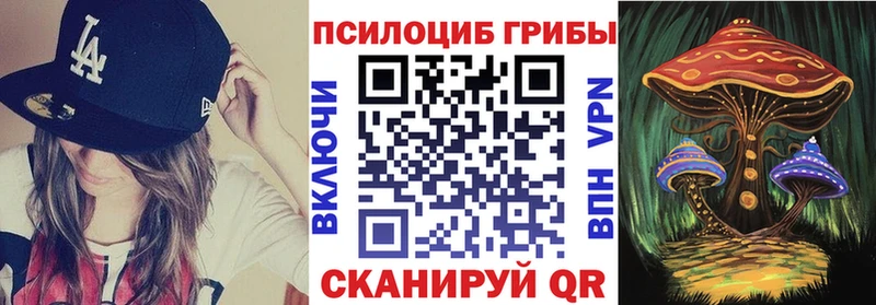 Псилоцибиновые грибы Psilocybe Каргополь