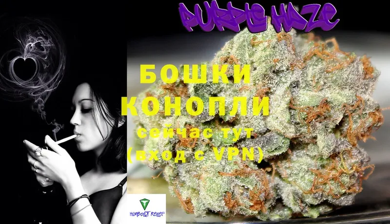 хочу   Каргополь  МАРИХУАНА THC 21% 